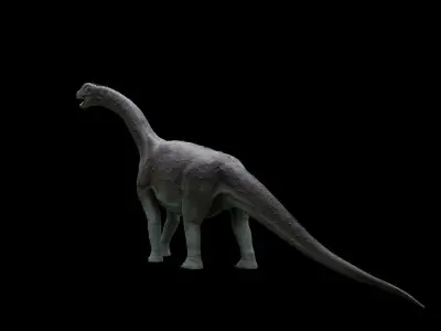 Camarasaurus dinosaur Low-poly 3D model