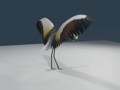 Crowned cranes 3d model 3D model