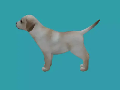 lowpoly dog 3dmodel 3D model