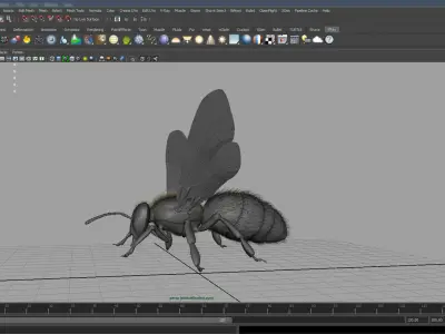bee 3d model fur 3D model