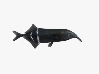Long-Nosed Elephant Fish 3D model