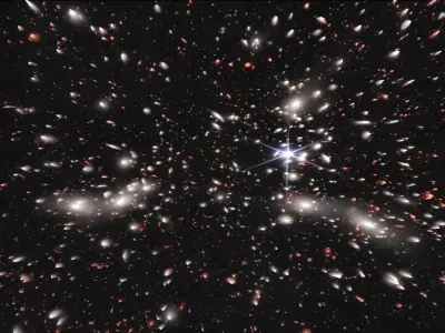 Pandoras Cluster 3D model