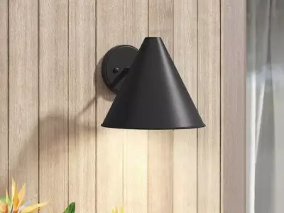 Dedmon Glass Outdoor Armed Sconce - 2 colour Free 3D model