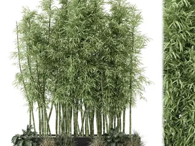 Indoor Plants Bamboo Set in rusty Concrete pots - set 1894 3D model