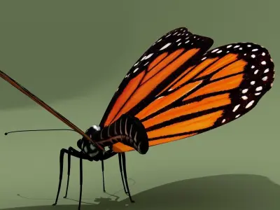 Monarch Butterfly 3D model