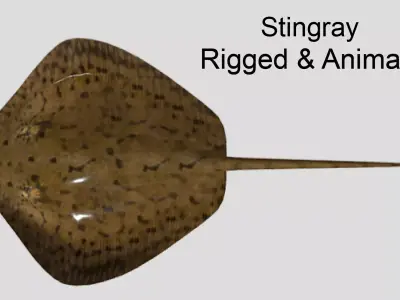 Stingray Realistic Animated Low-poly 3D model
