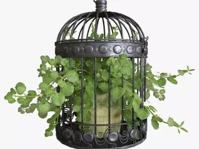 Ivy in a bird cage 3D model
