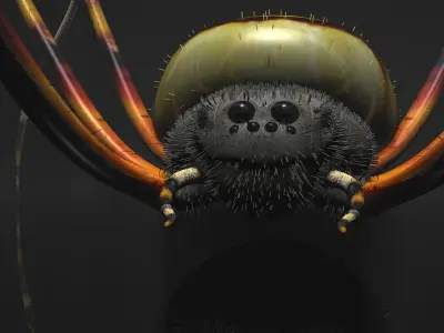 Spider Tiger Rigged Low-poly 3D model
