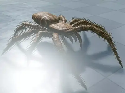 Spider Rigged and Game Ready Low-poly 3D model