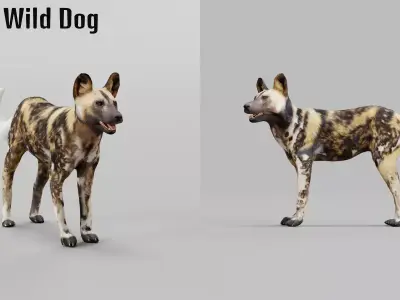 African wild dog Free 3D model