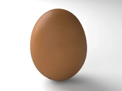 Egg 02 - Photorealistic Scan Low-poly 3D model