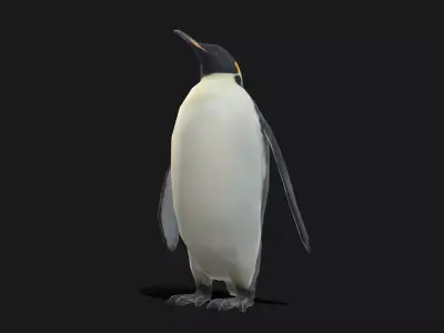 Emperor Penguin - Animated Low-poly 3D model