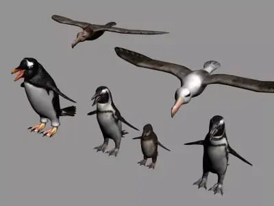 Antarctic Wildlife Collection Penguins Chicks Albatross Low-poly 3D model