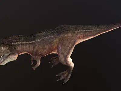 Tyrannosaurus t - rex Low-poly 3D model