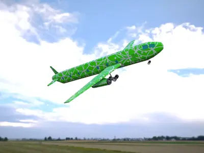 Airplane Hawaii Low-poly 3D model