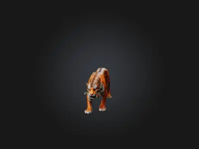 Realistic Hurt Tiger Model Low-poly 3D model