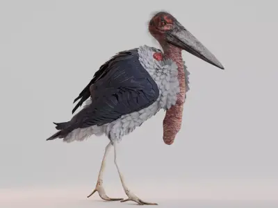 Realistic Animals Savannah - Marabou stork Low-poly 3D model