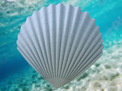 Scallop Seashell 3D model Free 3D model