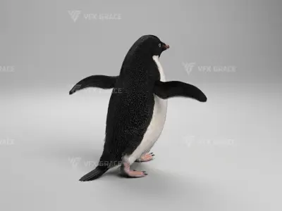Pygoscelis Animated - VFX Grace 3D model