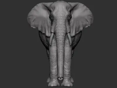 High detail African Elephant Sculpt 3D model