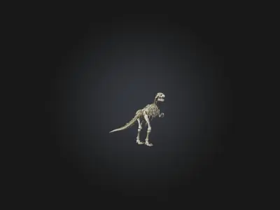 Realistic Allosaurus Skeleton Model Low-poly 3D model