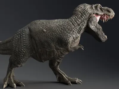 Dinosaur Zhuchengtyrannus Magnus- Ancestor of TRex  58 Anims Low-poly 3D model