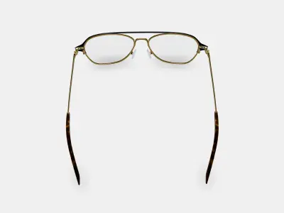 Corson Eyeglasses in Jet Black with Polished Gold 3D model