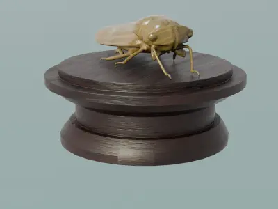 House Decoration Cicada Statue Low-poly 3D model