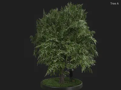 Nature Assets - Bird Cherry Tree Low-poly 3D model