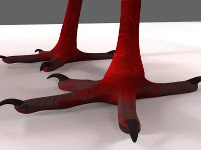 Scarlet ibis 3D model