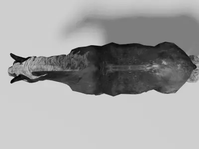 Black Wild Horse fully rigged Low-poly 3D model