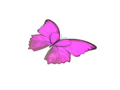 Butterfly v1 003 Low-poly 3D model