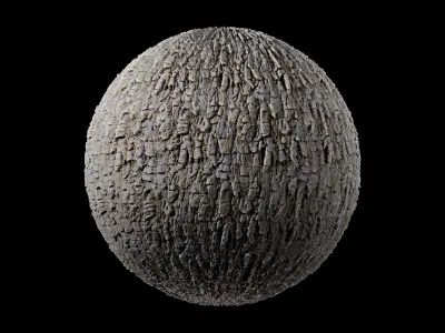 Bark 3 acorn Texture