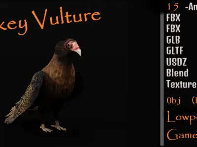 Turkey Black Vulture Low-poly 3D model