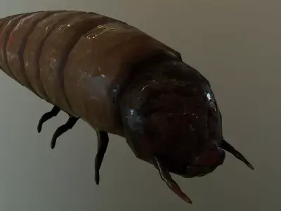 Worm Maggot Low-poly 3D model