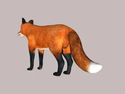 Red Fox Low-poly 3D model