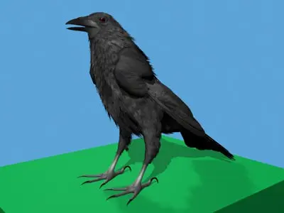 CROW - Fully Rigged For Max 3D model