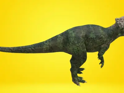 pachycephalosaurus Dinosaur Low-poly 3D model