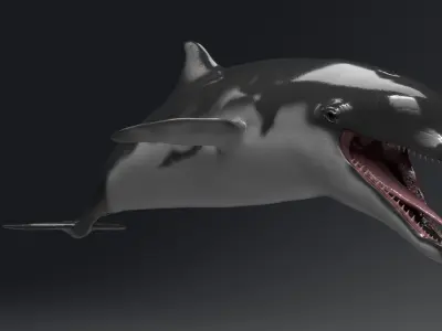 Dolphin Model 13 Animations UnrealEngine and UNITY Low-poly 3D model