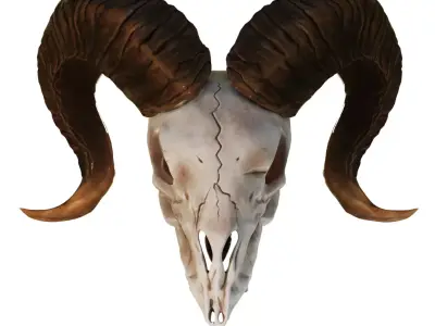 Ram Skull 3D model