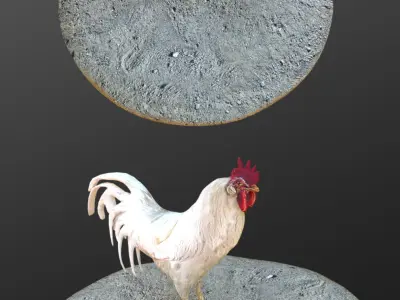 rooster 3d on rock 3D model