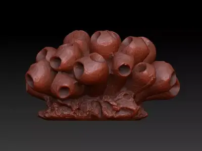 Sea Coral Scan 5 3D model