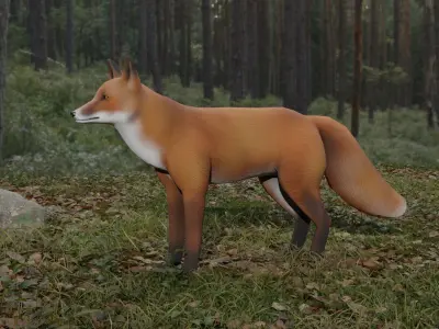 Fox LowPoly Low-poly 3D model