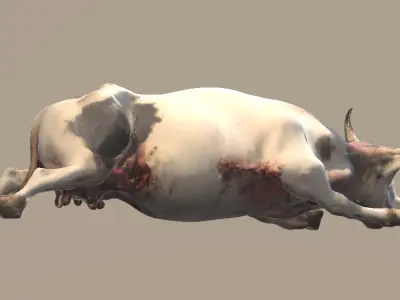 Cattle Mutilation 3D model