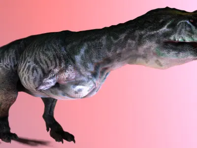 Majungasaurus  Low-poly 3D model