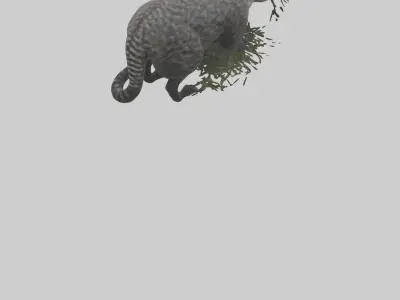 Malayan Civet sneaking model Low-poly 3D model