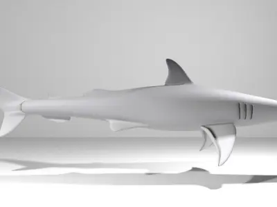 Shark - Bonnethead 3D model