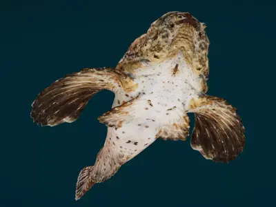 Demon Stinger Fish 3D model