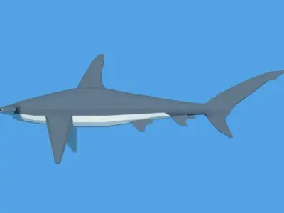 Low Poly Cartoon Hammerhead Shark Low-poly 3D model