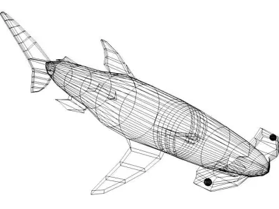 Shark - Hammerhead 3D model
